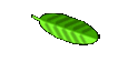 Quem sou eu
