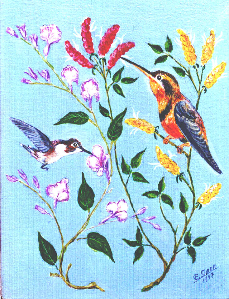 Beija-flor-papo-amarelo e Beija-flor-besourinho-ametista com duranta e camar�o