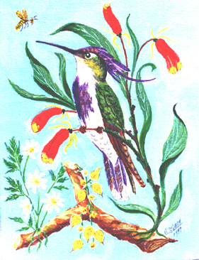 Beija-flor-de-topete com margaridas, gloc�nias e mussaendas