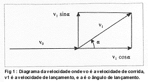 graf6.gif (7726 bytes)