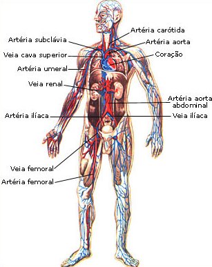 Esquema Circ.