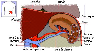 Localiza&ccedil;&atilde;o do ba&ccedil;o