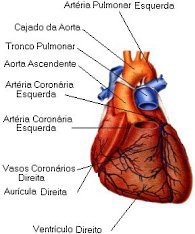 Vista externa