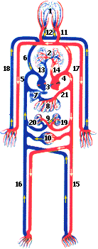 Esquema
