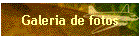Galeria de fotos
