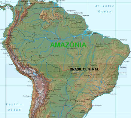 AMsul.jpg (221920 bytes)