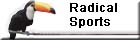 Button Radica Sports