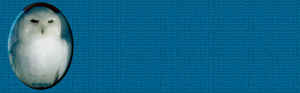 papel1.jpg (252374 bytes)