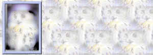 papel2.jpg (282784 bytes)