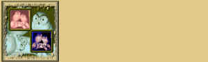 papel4.jpg (33959 bytes)