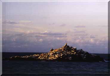 Ilha Guarita
