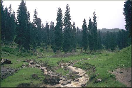 gulmarg.jpg (25522 bytes)