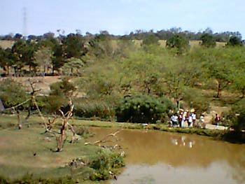 mbzooparque007