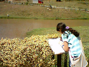 mbzooparque015