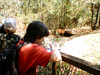 mbzooparque019
