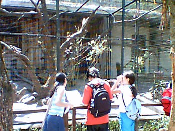 mbzooparque022