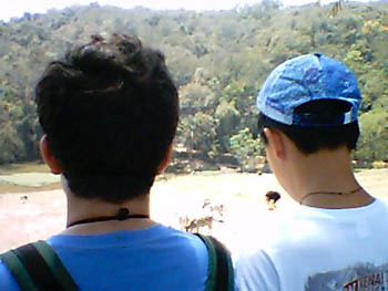 mbzooparque033