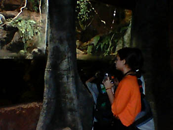 mbzooparque036