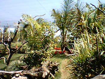 mbzooparque039