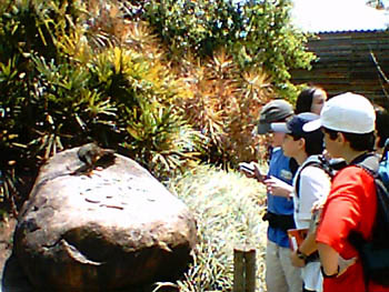 mbzooparque041