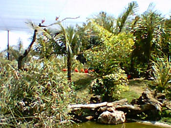 mbzooparque042