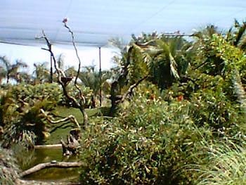 mbzooparque043