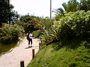 mbzooparque046