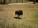 mbzooparque026