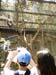 mbzooparque060
