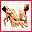  Pagina principal_Kamasutra Opolvo_para ver outros icos clik aqui se quiser fazer downlard mande email para celeute@yahoo.com.br solicitando senha .