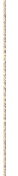 Lateral Esquerdo
