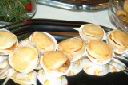 DSCF0292.JPG