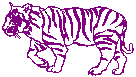 Web Site Tigre