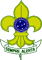 UEB