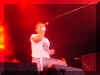 sweden06.jpg (37021 bytes)