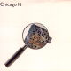 Chicago 16