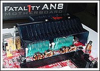 fatal1ty20.jpg