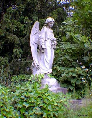 gravedoor.jpg