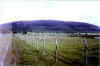 serra3.jpg (42571 bytes)