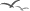 passaros.gif (1455 bytes)