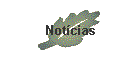 Notcias