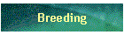 Breeding