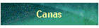Canas