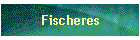 Fischeres