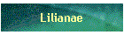 Lilianae