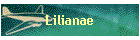 Lilianae