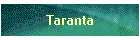Taranta