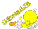 Imagem do piu piu em repouso e inscrição CCbrasilJÚNIOR