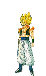 gogeta.gif (4906 bytes)