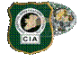 Confidential Investigations Athlone